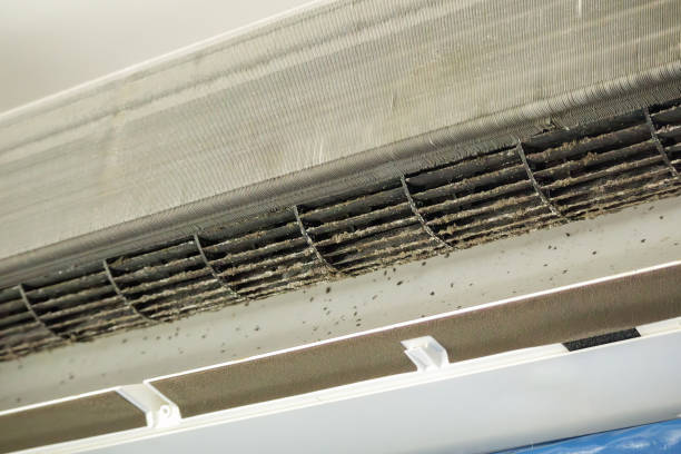 Best Emergency Air Duct Cleaning  in Daly City, CA